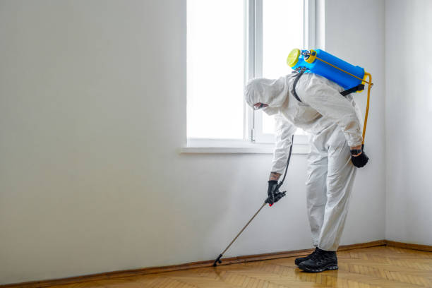 Professional Pest control in Richboro, PA